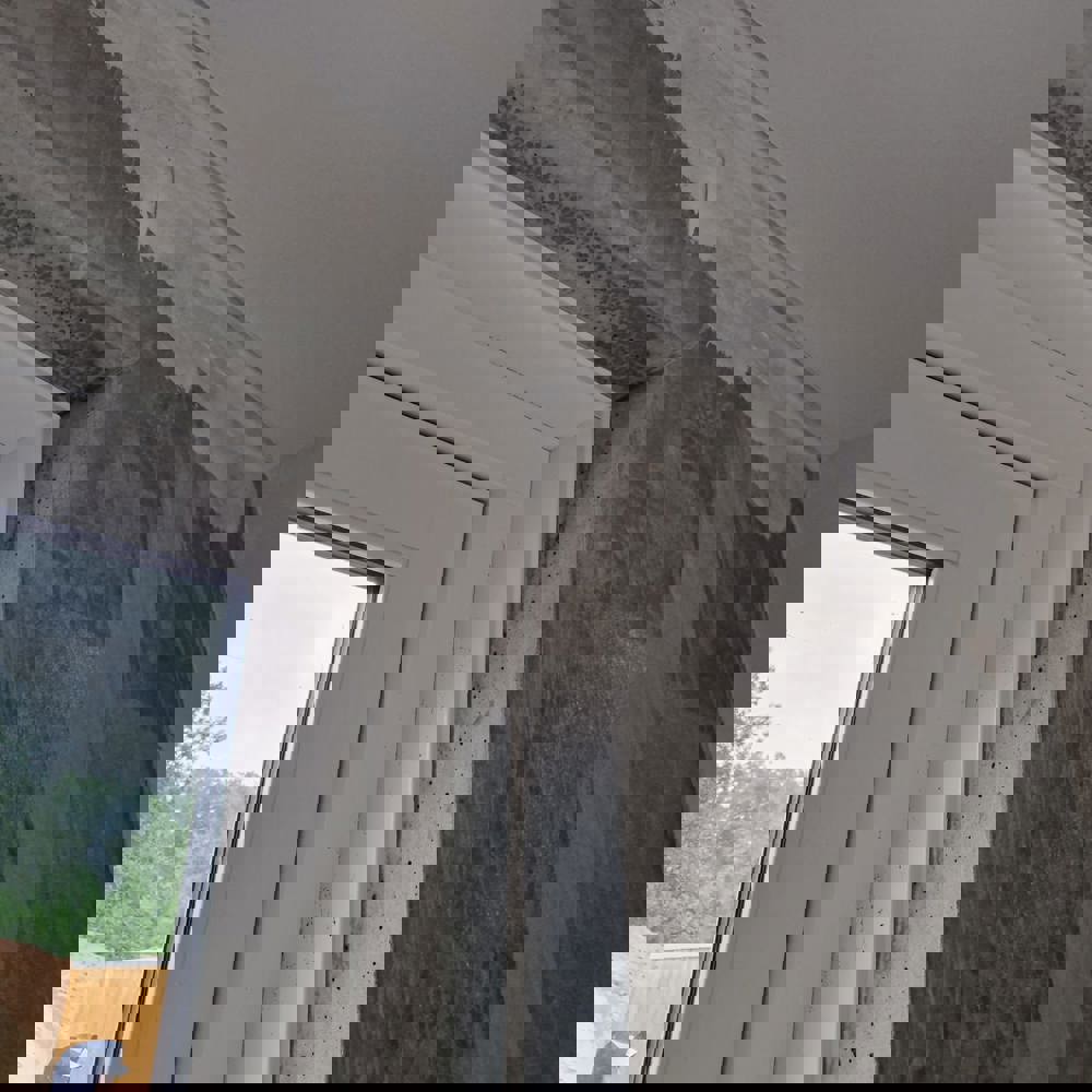 5D477ba5 Ea0e 40Ed 9095 6Bfce95c7040